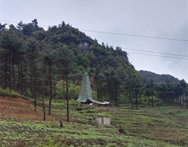 把脈“黔”鋅地，問診開良方